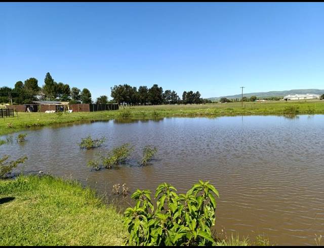 FARM FOR SALE IN KLIPVIEW